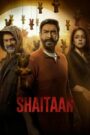 Shaitaan (2024) Hindi PRE DVD V3